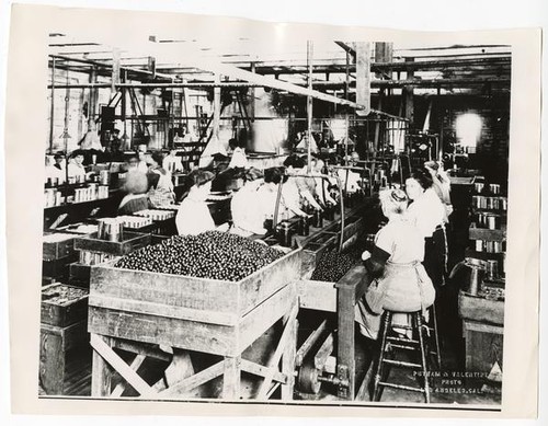 Women cannery workers