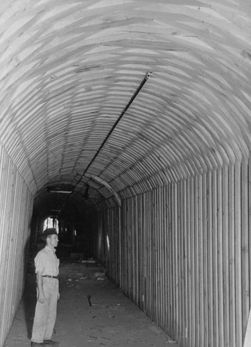 Timber recovery tunnel, Shasta Dam construction