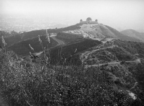 View of Griffith Observatory from Mount Hollywood