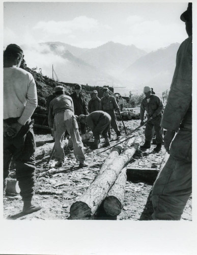 Laborers working with logs for the US military