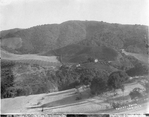 1910 Santa Clara Valley