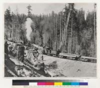 From: Division of Forestry, 410 Rosenberg Building, Santa Rosa, California. Picture #12. A log dump along the Caspar railroad. Here logs were rolled onto the log cars with "jack screws." "30"