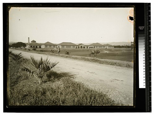 Scene at Palo Alto, California [Stanford Campus/unknown]