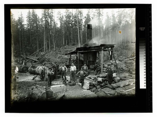 [Bull Donkey logging #5/unknown]