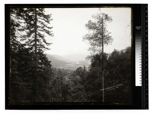 Scene at Hoopa Valley, Humboldt Co./Scene in Humboldt Co