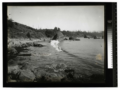 A Glimpse of the "Ocean," California [Sea Coast Scene near Arcata /unknown]