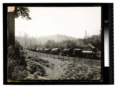 [Train of logs/unknown]