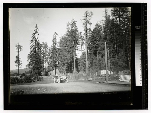 [Auto on a country road approaching a wood sidewalk]