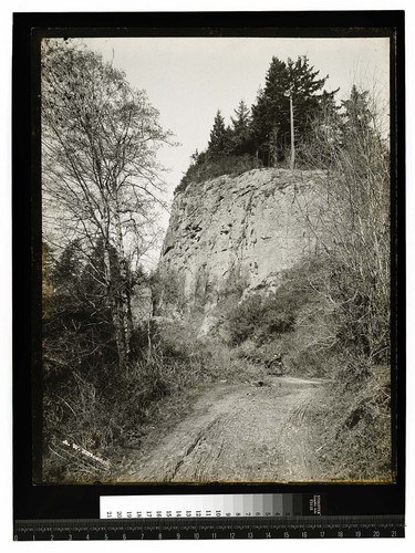 Scene near Trinidad [Horse drawn buggy in front of Princess Rock/Elephant Rock]