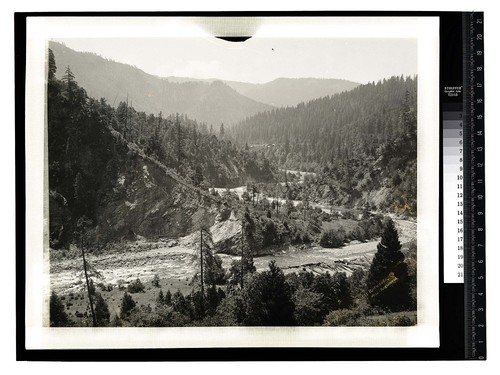 Among the Humboldt Redwoods View from Rattlesnake rock, Orleans/unknown]