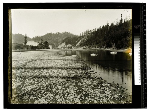 [River at low water, Scotia Bluffs? In the distance]