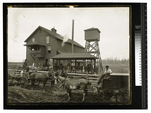 [Dairy scene, wagons and drivers in front of a work building]