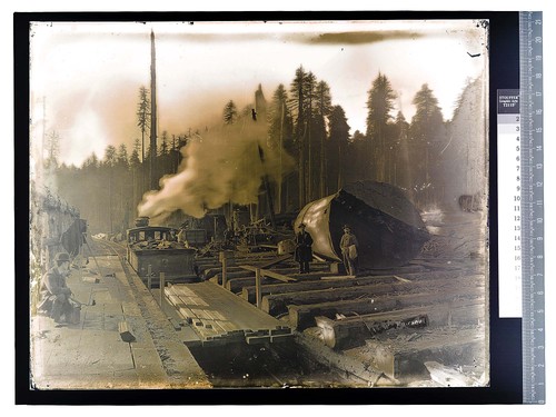 [Photographer's camera set up at a railroad landing]