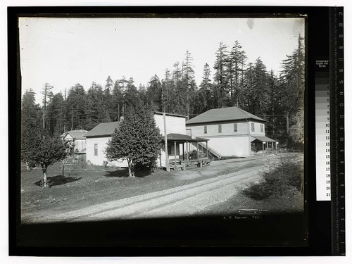 [Two store buildings at the edge of a forest]