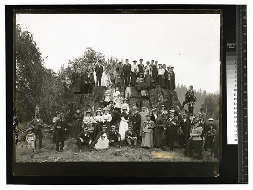 Scene In The Redwoods [Group of men, women, children, posing at a large redwood stump]