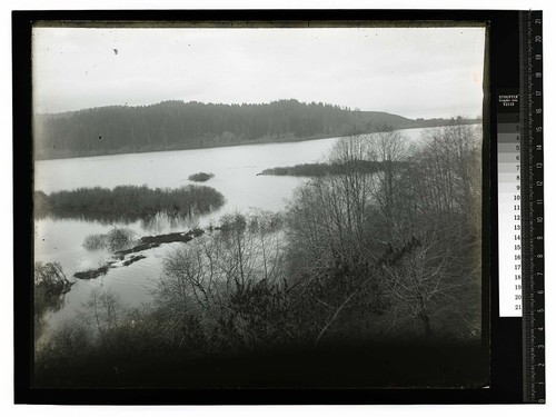 Scene at Big Lagoon