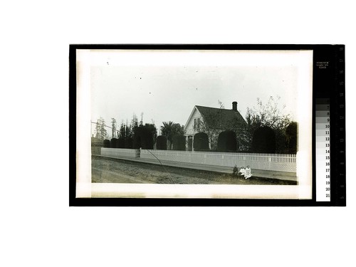 [Ericson children sitting on wooden sidewalk in front of Ericson home]