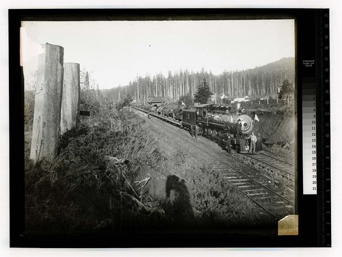 [Rock train from Minor's Quarry/unknown/People posing along first cars of a train of logs]