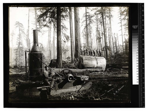 [3rd stage of logging #1, bull donkey (Dolberg spool donkey)/unknown]