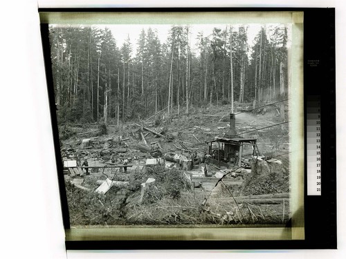 [Steam donkey and crew in action at a logging site]