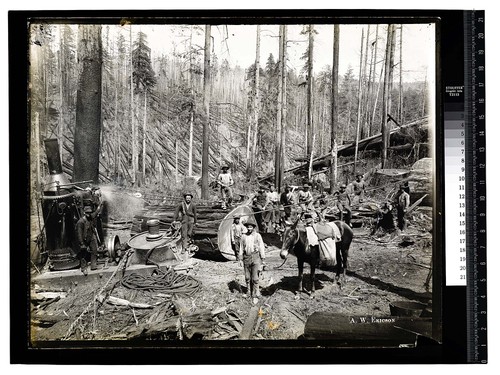 [Bull Donkey Logging - Vance Woods #4/unknown]