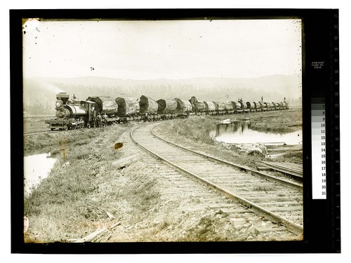 Excelsior Redwood Co.Eureka Cal [Trainload of logs - Excelsior Redwood Co - Freshwater/unknown]