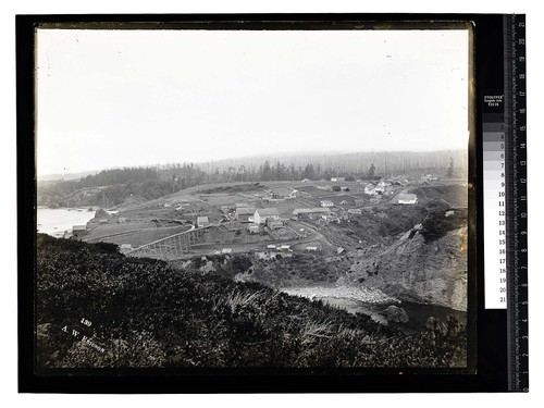 [Scene at Trinidad 1879-1884/unknown]