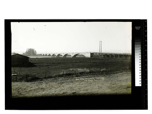 Fern Bridge, Humboldt Co., California