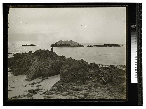 Scene at Monterey, California