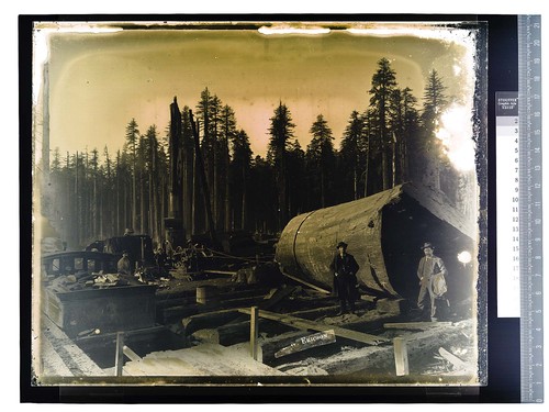 [Men posing next to equipment and a large log]