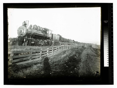 [Number 11 Logging train/unknown]