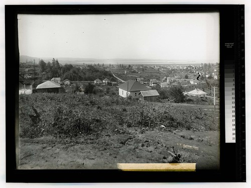 [College Hill c.1915/unknown/View from high point of Humboldt State Normal campus]