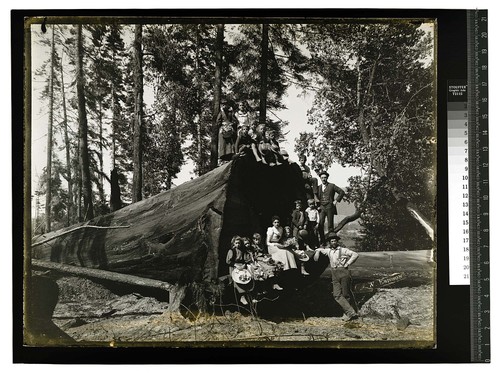 In the Redwoods, Blue Lake