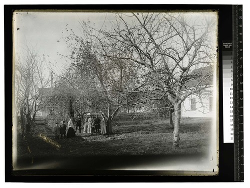 [Informal portrait of a family in a small orchard]