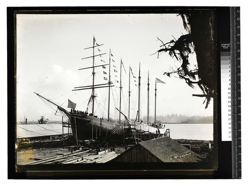 Bendixsen's Ship Yard,Eureka [Bendixsen Shipyard about 1900 - Ship the "Jane Stanford"/unknown]