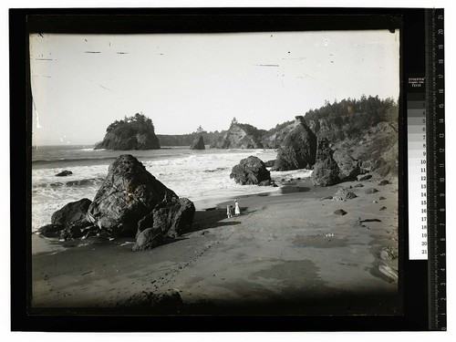 A glimpse of the Ocean/Redwood Highway near Trinidad, California, No. 22