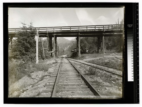 [Railroad tracks converging under a wood bridge]