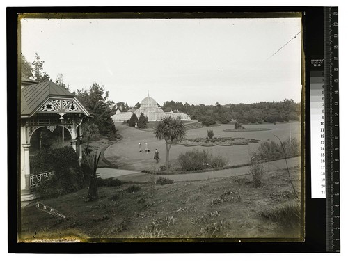 [Scene in Golden Gate Park]