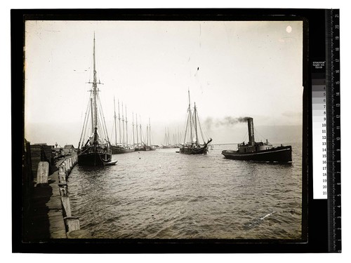 Arcata Wharf, Humboldt County