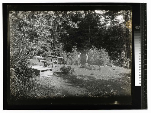 [Two men amid an outdoor scene of roughly made tables and cookstove]