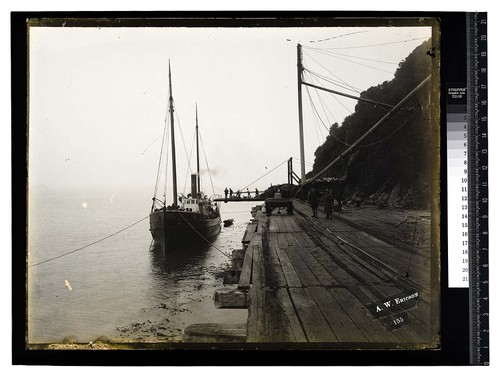 [Trinidad Wharf - Steamer Eddy/unknown]