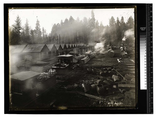 [Train at log landing in a woods camp]