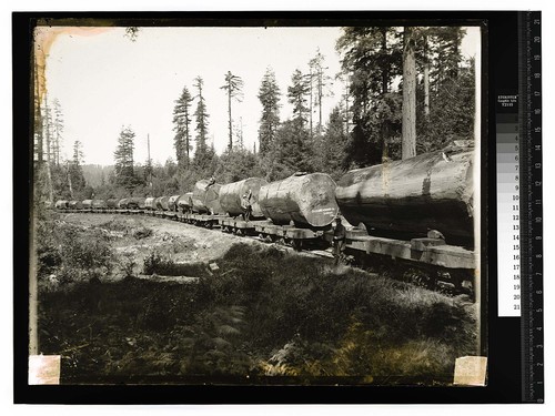 Excelsior Redwood Co -Eureka Cal [Excelsior Redwood Co. - Freshwater/unknown]