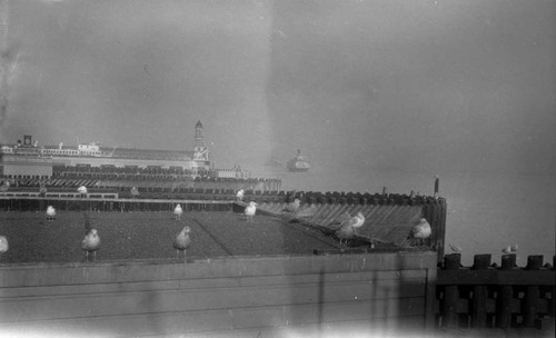 [Ferry terminal, San Francisco]