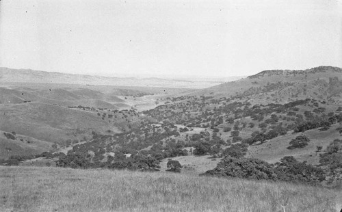 Pacheco Pass