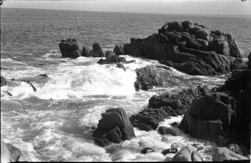 Monterey coast