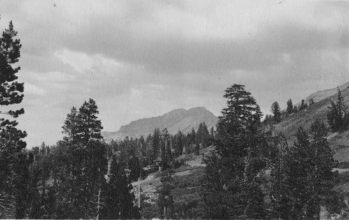 At summit of Ebbet's Pass