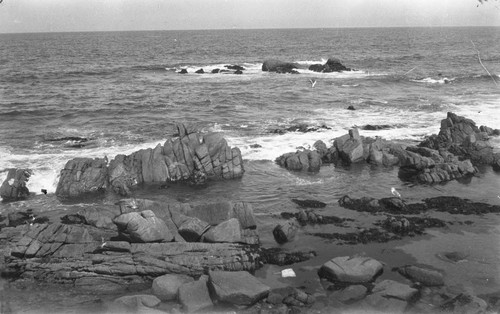 Monterey coast