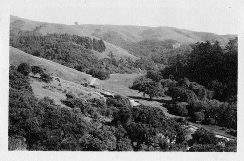 Near Muir Woods