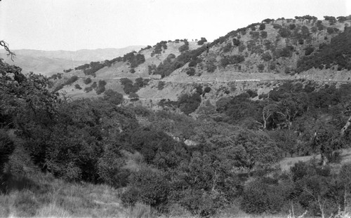 Pacheco Pass